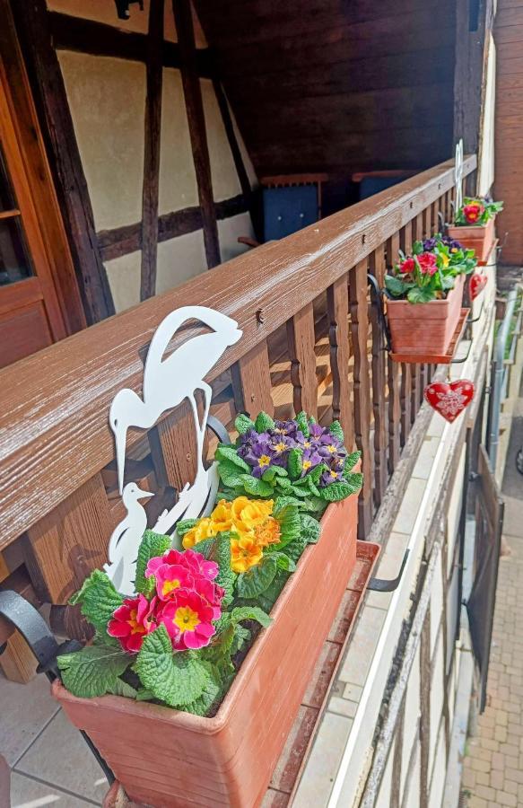 شقة Un Balcon Sur Les Toits بيبلينهايم المظهر الخارجي الصورة